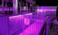 Hornblower Niagara Cruises Entry with Purple LED Lighting