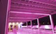 Hornblower Niagara Cruises Entry with Pink LED Lighting